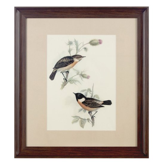 Agatiyo Framed Birds Wall Art In Assorted - ContemporaryWallArt.co.uk